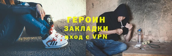 сатива Беломорск