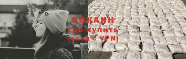 сатива Беломорск