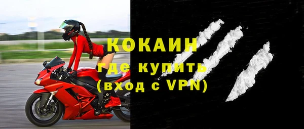 сатива Беломорск