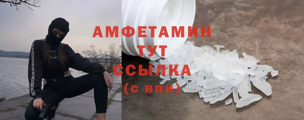 сатива Беломорск
