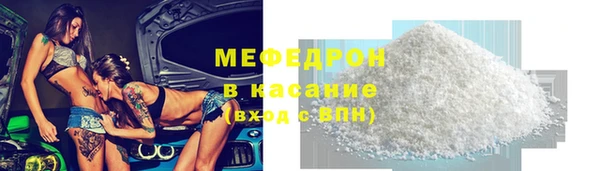 сатива Беломорск