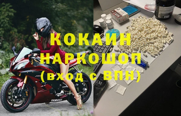 сатива Беломорск