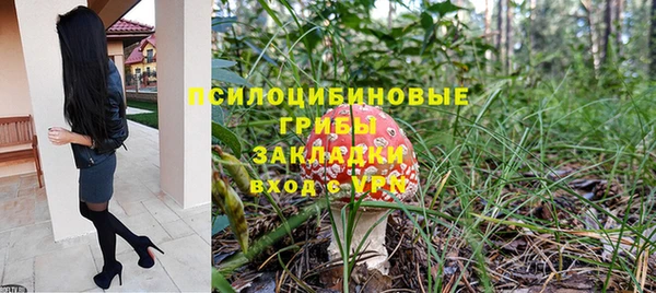 сатива Беломорск