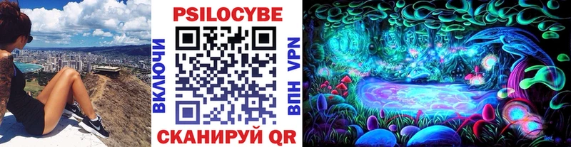 Псилоцибиновые грибы Psilocybine cubensis  Боровск 